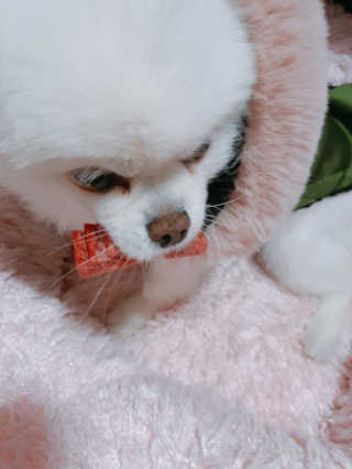 쟈스민님이 올린 리뷰 사진 2