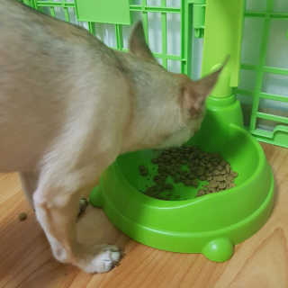 은비니님이 올린 리뷰 사진 1
