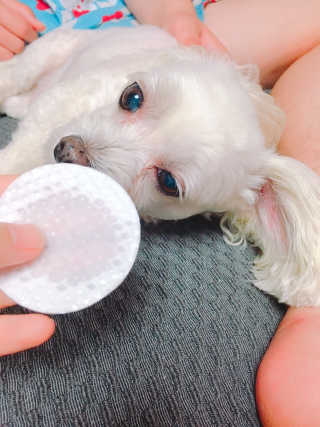 쮸동비님이 올린 리뷰 사진 2