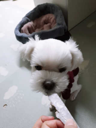 듀부듀부님이 올린 리뷰 사진 2