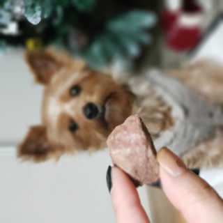 롤리팝님이 올린 리뷰 사진 1