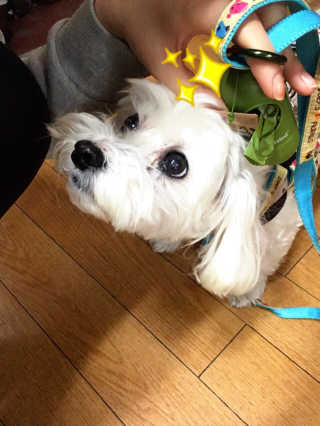 짱아님이 올린 리뷰 사진 1