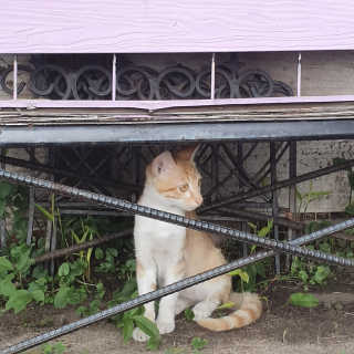 볼빨강한비지님이 올린 리뷰 사진 2