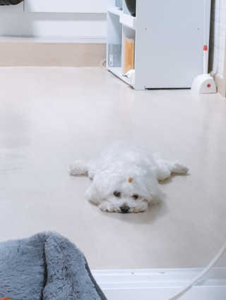 황선아님이 올린 리뷰 사진 1