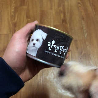 [펫토리아] BEST 한캔뚝딱 강아지 캔간식 — 4.5점을 준 리뷰어가 2019년 3월 올린 사용 사진