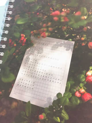 Hola님이 올린 리뷰 사진 3
