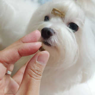 오후햇살님이 올린 리뷰 사진 3