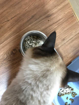 pure님이 올린 리뷰 사진 4