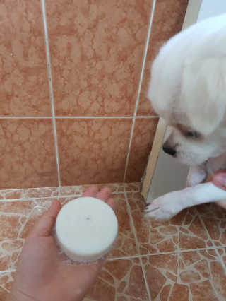 김유경님이 올린 리뷰 사진 4