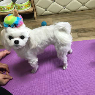 ysssu님이 올린 리뷰 사진 2