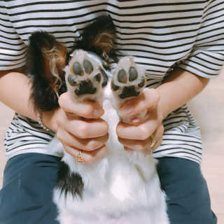 큡빠님이 올린 리뷰 사진 4