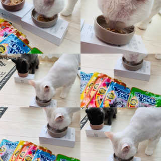 펫토리아 짜먹는 토로토로 고양이 파우치 간식 — 5점을 준 리뷰어가 2019년 6월 올린 사용 사진
