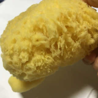 룰라러브 모공관리 끝 지중해산 천연해면 바디스펀지 — 2.83점을 준 리뷰어가 2018년 4월 올린 사용 사진