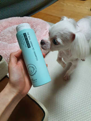 쮸동비님이 올린 리뷰 사진 1