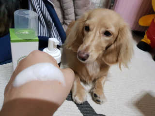 5_daks님이 올린 리뷰 사진 1