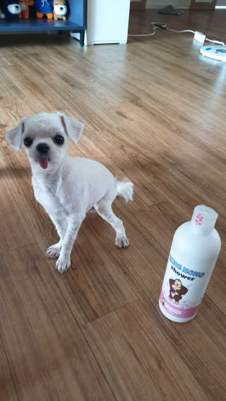 쩡님이 올린 리뷰 사진 3