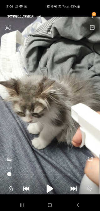 임고양이님이 올린 리뷰 사진 3