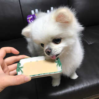 보라미90님이 올린 리뷰 사진 1