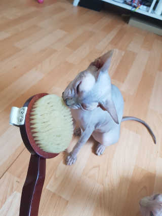 마뇨님이 올린 리뷰 사진 1