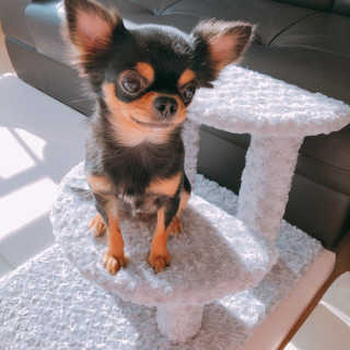 뚜리뚜치님이 올린 리뷰 사진 2