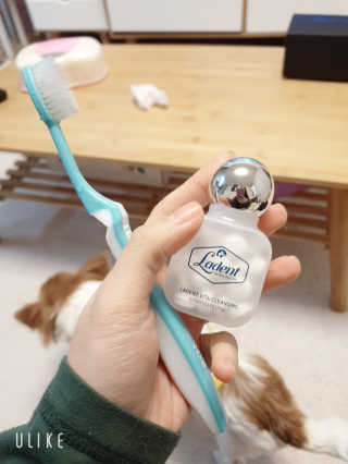 두공e님이 올린 리뷰 사진 1