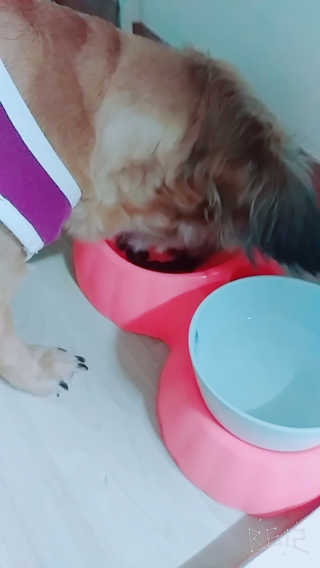 조태현님이 올린 리뷰 사진 3