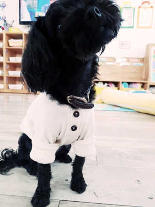 김소정님이 올린 리뷰 사진 1