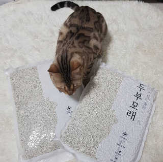 🌸 𝑱𝒆𝒏𝒏𝒚님이 올린 리뷰 사진 3