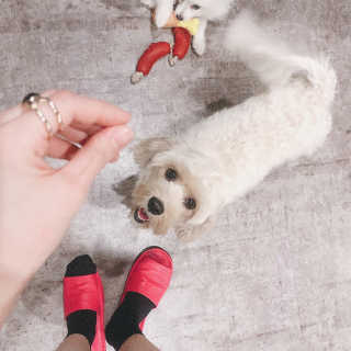 또리님이 올린 리뷰 사진 1