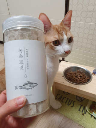펫프렌즈 [면역력강화]첨가 북어 100퍼센트 촉촉트릿 북어 80g — 5점을 준 리뷰어가 2020년 1월 올린 사용 사진