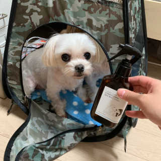 보니타님이 올린 리뷰 사진 2