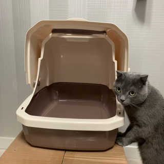 [펫토리아] BEST 한큐뚝딱 고양이 후드형 화장실 — 5점을 준 리뷰어가 2019년 1월 올린 사용 사진