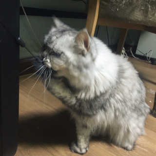 샤샤올라님이 올린 리뷰 사진 2