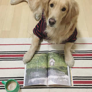 EJlove님이 올린 리뷰 사진 2