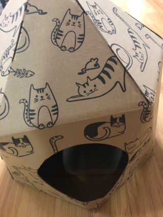 [펫토리아] 한발뚝딱 고양이 스크래쳐 BEST상품 — 3.5점을 준 리뷰어가 2019년 2월 올린 사용 사진