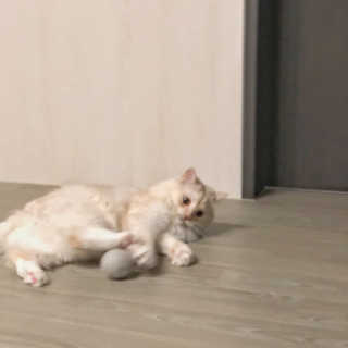 다용블리님이 올린 리뷰 사진 3