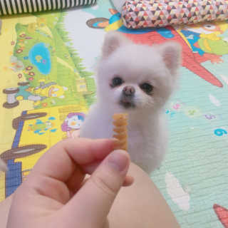 dodo님이 올린 리뷰 사진 3