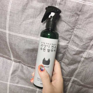 손정영님이 올린 리뷰 사진 2