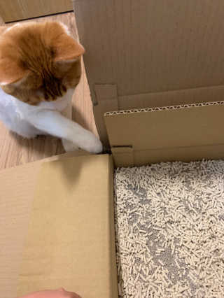 신예님이 올린 리뷰 사진 3