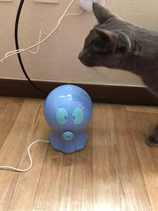썽츄님이 올린 리뷰 사진 3