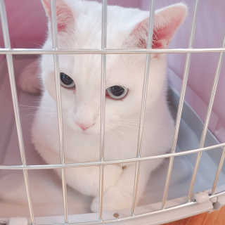 정혜님이 올린 리뷰 사진 1