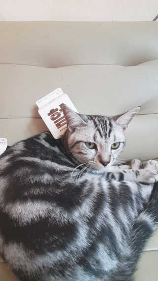 이승규님이 올린 리뷰 사진 2