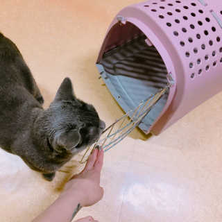 율집사님이 올린 리뷰 사진 2