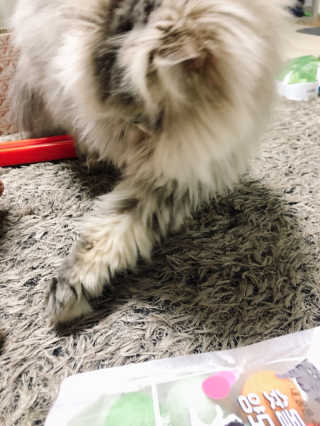 꼬끼오님이 올린 리뷰 사진 3