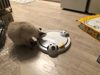Canteen님이 올린 리뷰 사진 2