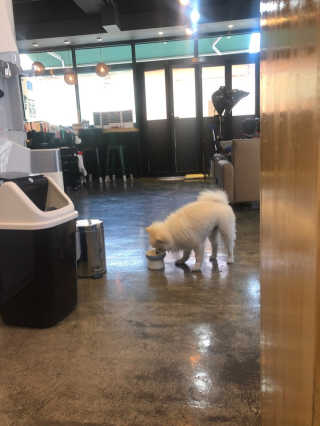이지댕님이 올린 리뷰 사진 2