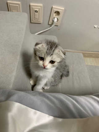 송유미님이 올린 리뷰 사진 1