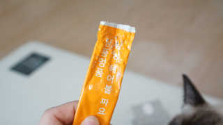 숑이님이 올린 리뷰 사진 4