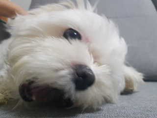 Ranny님이 올린 리뷰 사진 2