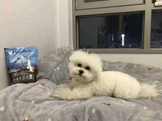박리뷰왕님이 올린 리뷰 사진 2